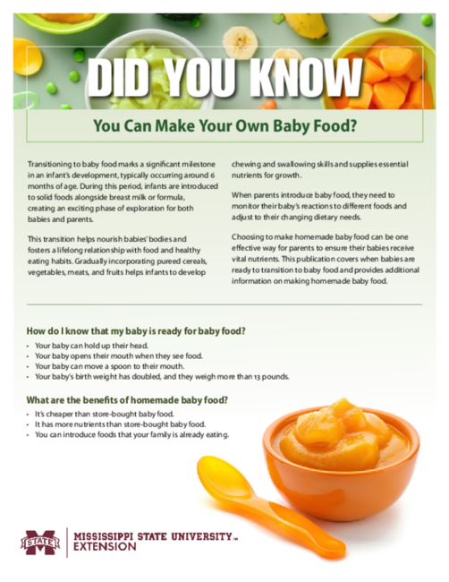 Cheapest Place to Get Baby Food