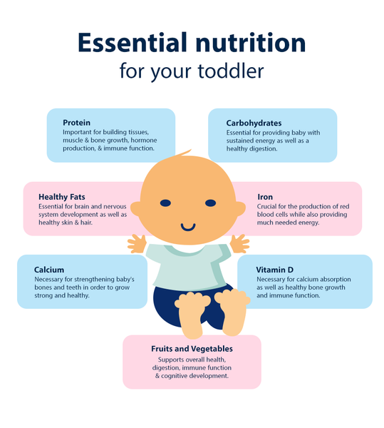 Why is Nutrition Important for Infants And Toddlers