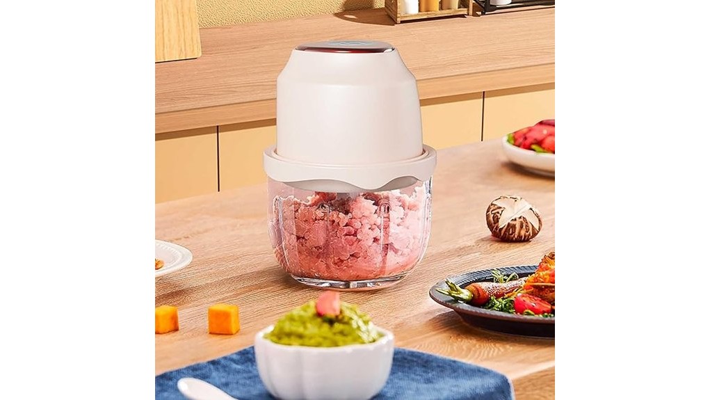 cengnian mini food processor