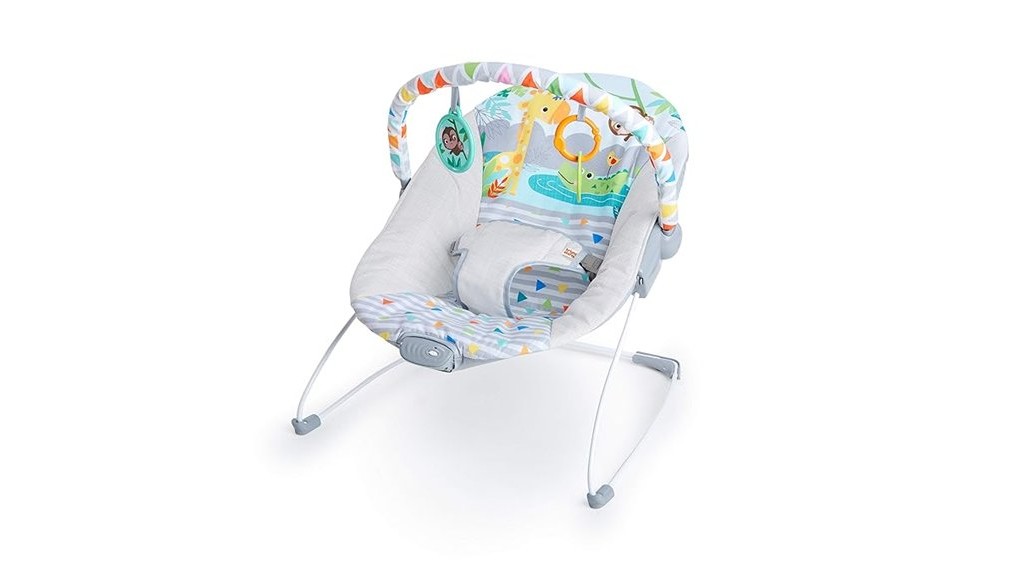 comfortable and entertaining bouncer