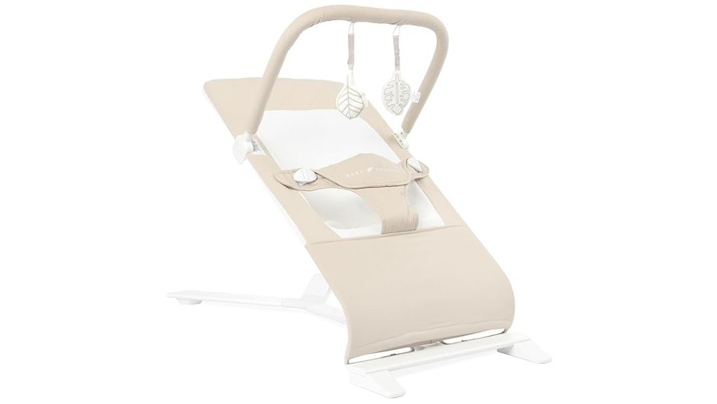 comfortable and stylish bouncer