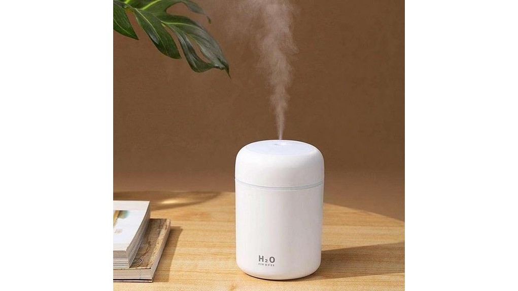 compact humidifier worth considering