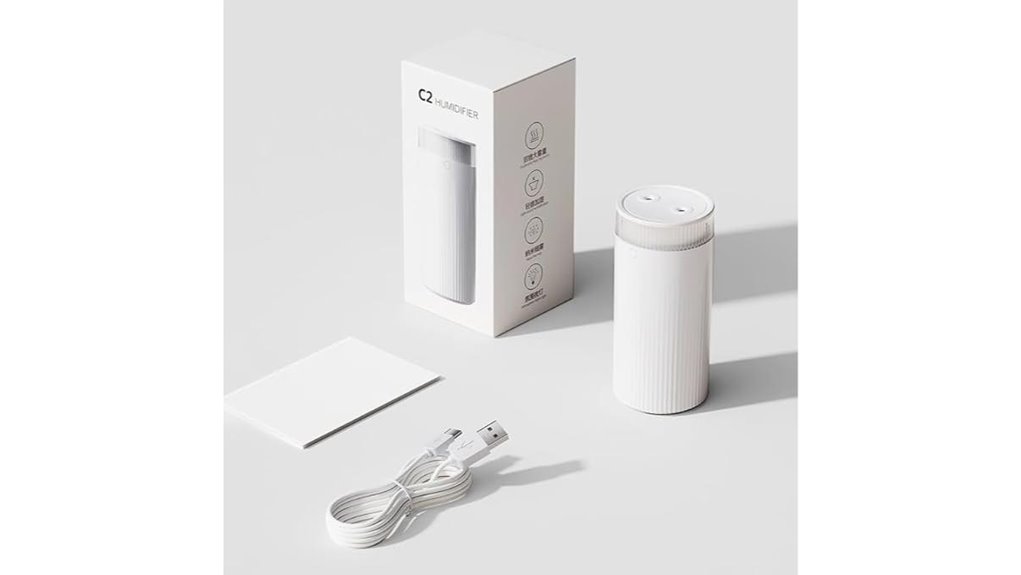 portable dual nozzle humidifier