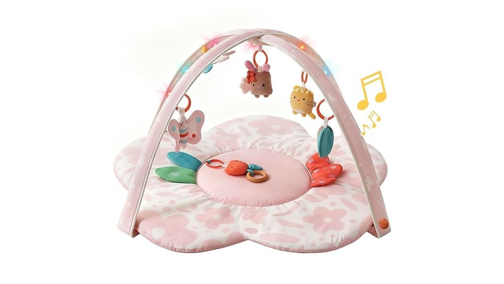 charming baby play gym