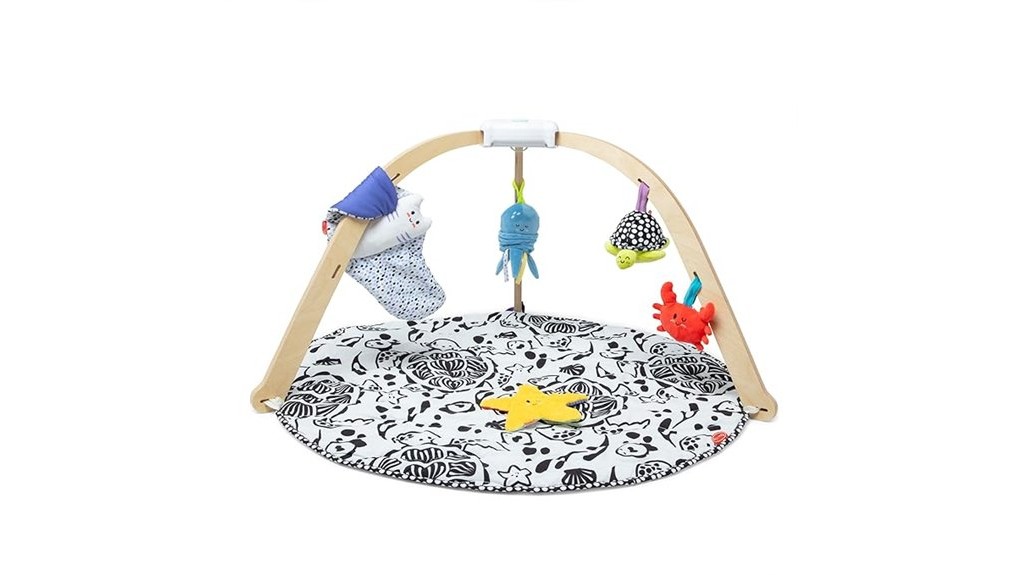 engaging sensory playtime experience