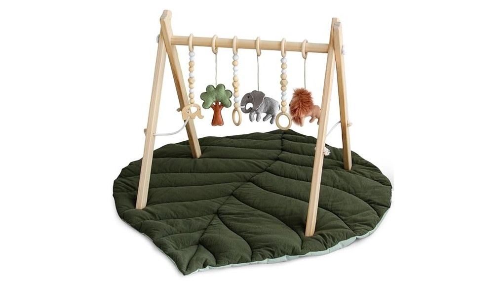 engaging wooden play gym