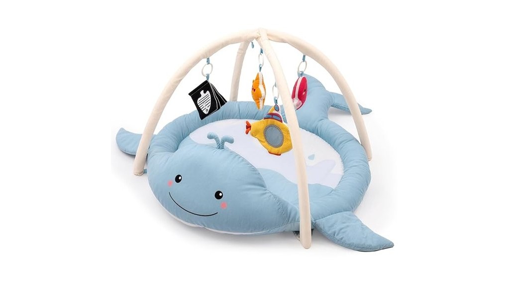fun aquatic playtime experience